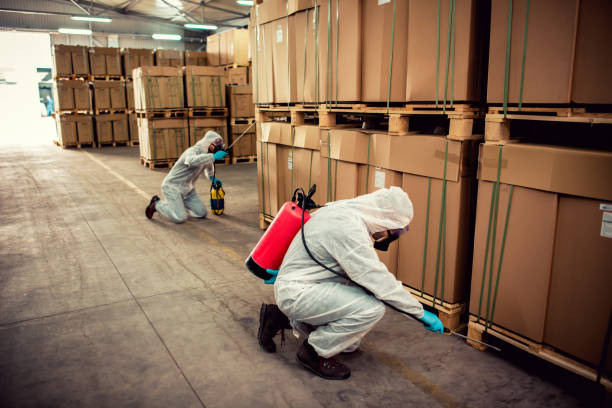 Best Termite Control Services  in Mcconnellstown, PA