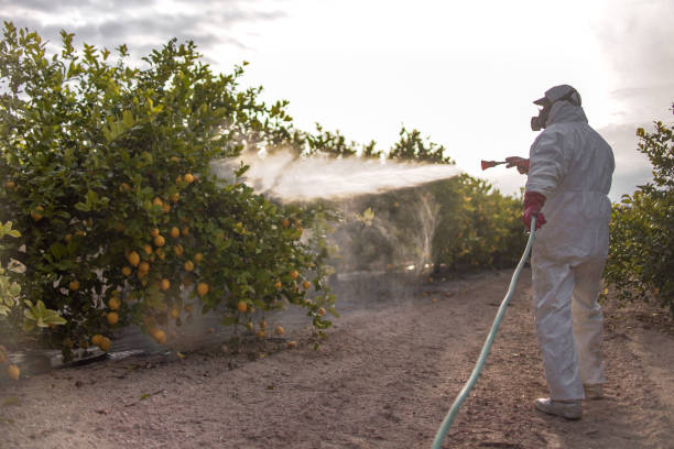 Best Mosquito Control Services  in Mcconnellstown, PA