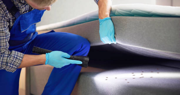 Best Commercial Pest Control Services  in Mcconnellstown, PA