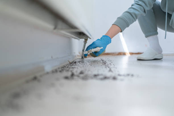 Mcconnellstown, PA Pest Control Company